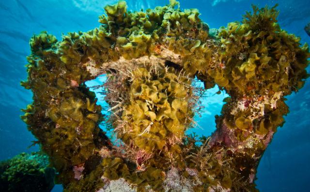 samaze_037-574 samaze_037-574