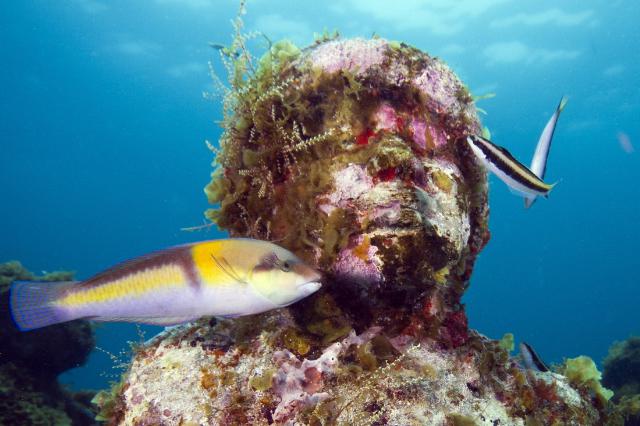 samaze_042-507 samaze_042-507