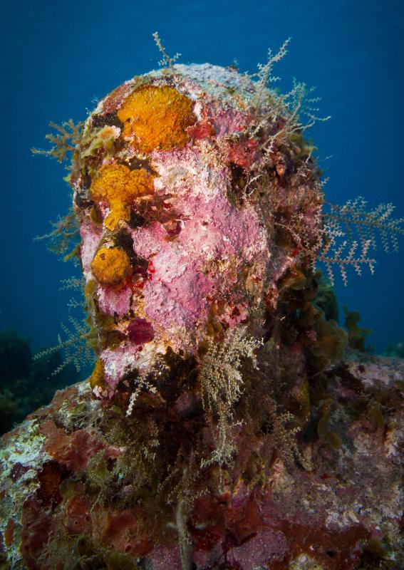 samaze_050-435 samaze_050-435