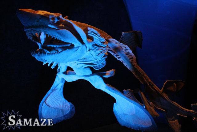 samaze_089-290