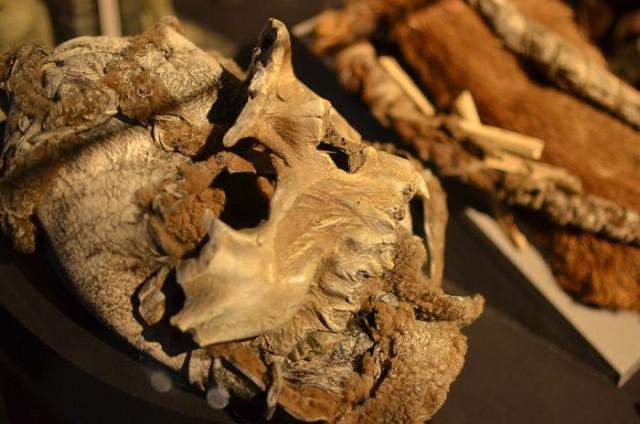 samaze_031-4 samaze_031-4