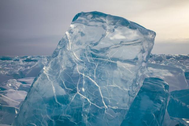 samaze_011-1259 samaze_011-1259