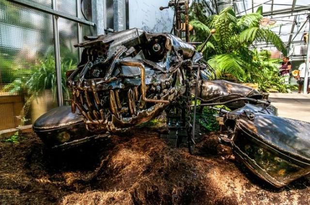 samaze_007-1195 samaze_007-1195