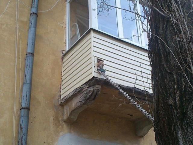 samaze_055-391