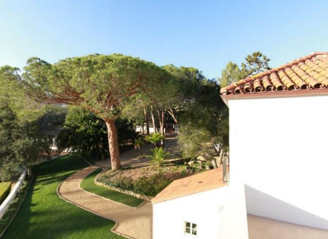 samaze_020-962 samaze_020-962