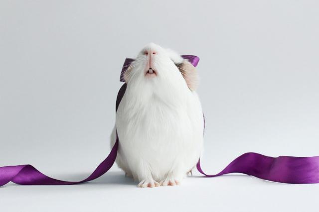 samaze_007-1364 samaze_007-1364