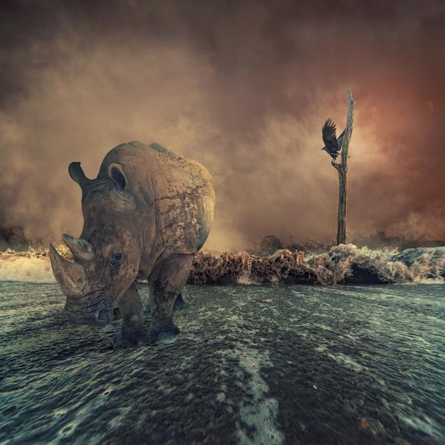 samaze_030-816 samaze_030-816