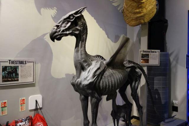 samaze_076-352