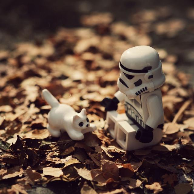 samaze_005-1630 samaze_005-1630