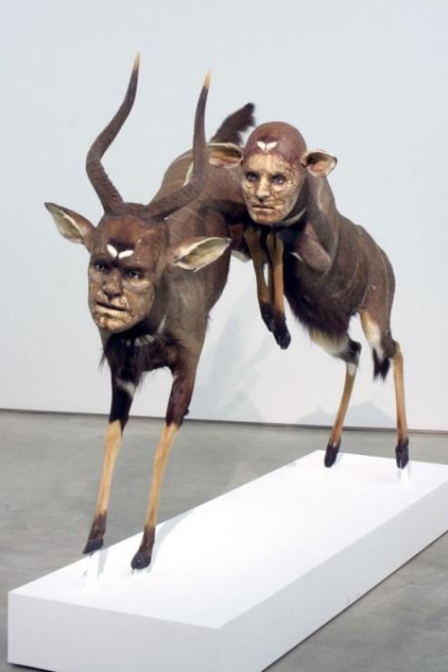 samaze_016-1419 samaze_016-1419