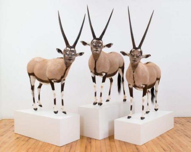 samaze_023-1192 samaze_023-1192