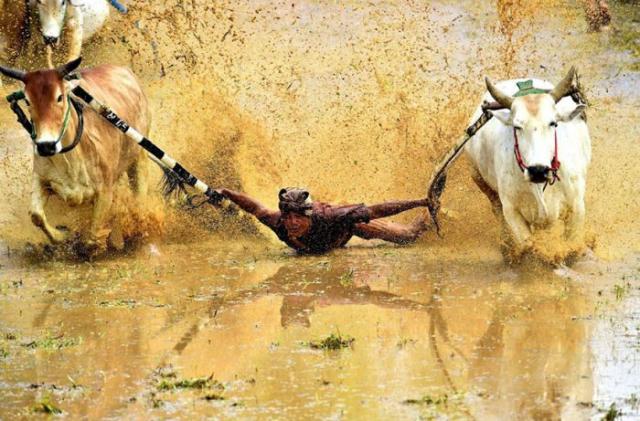 national_geo_2016_009