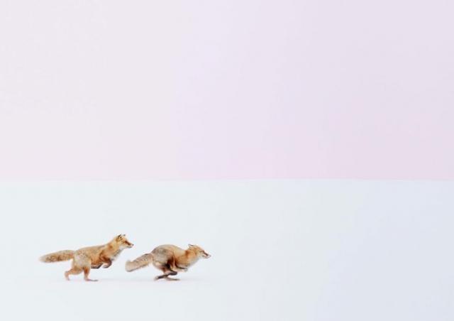 national_geo_2016_034