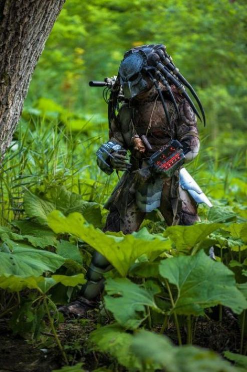 predator_003 predator_003