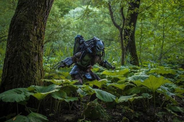 predator_005 predator_005