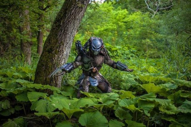 predator_006 predator_006