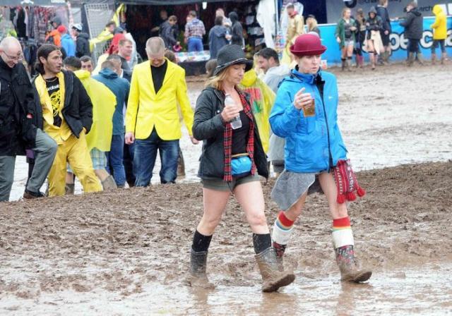 tinthepark_008 tinthepark_008