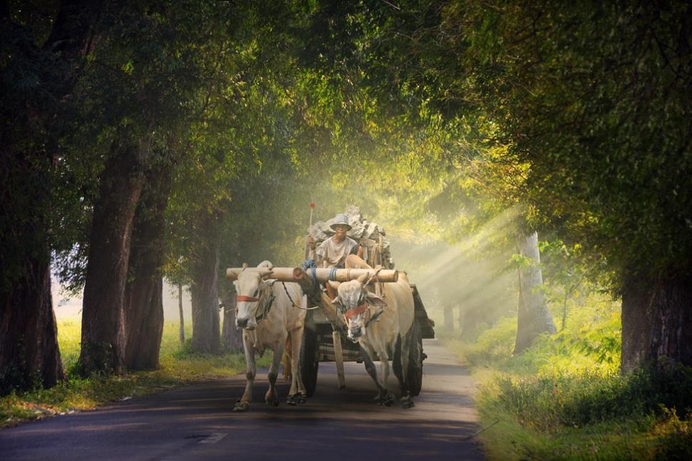 agusgunawanphotos_003