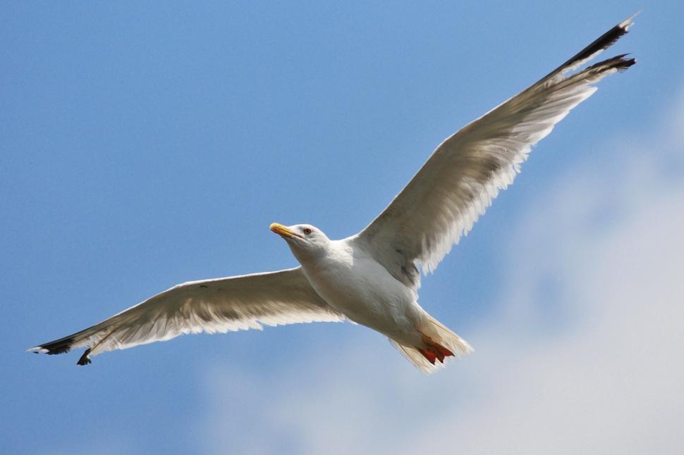 agusgunawanphotos_008