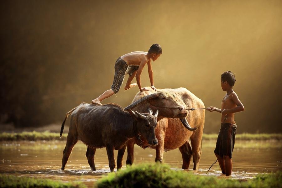 agusgunawanphotos_012