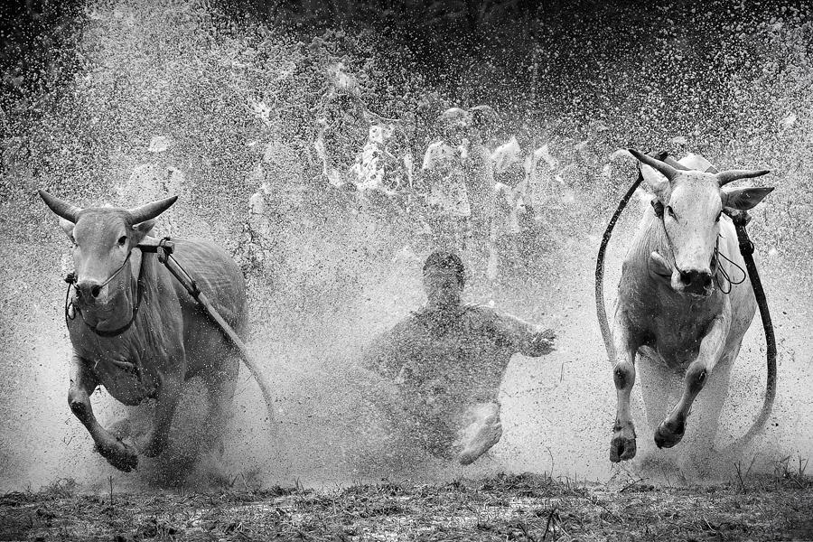 agusgunawanphotos_030