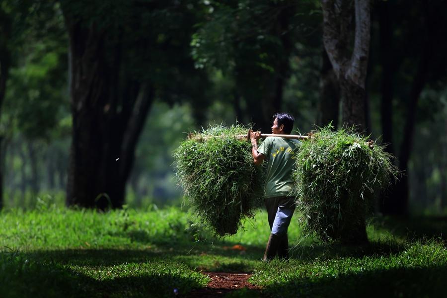 agusgunawanphotos_031