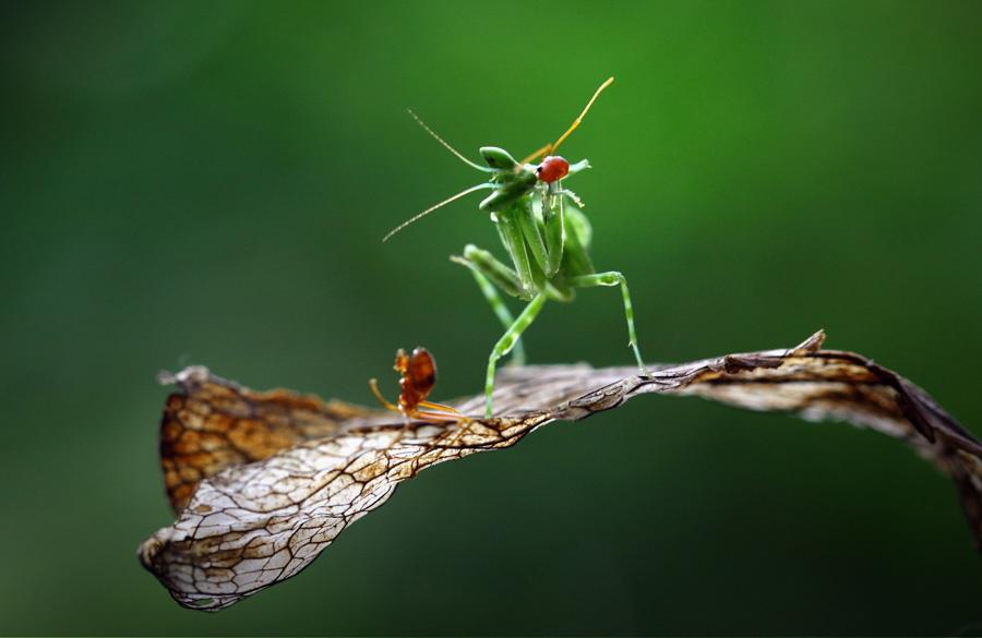 agusgunawanphotos_035