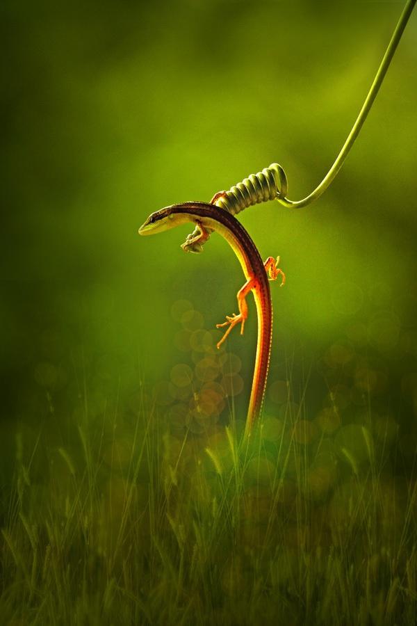 agusgunawanphotos_046