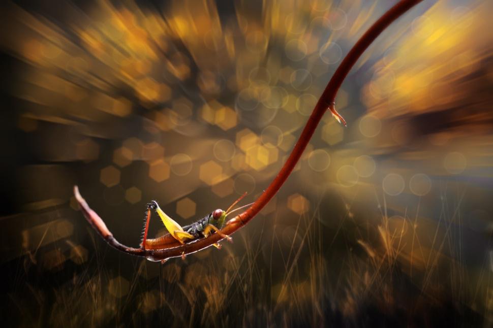 agusgunawanphotos_053