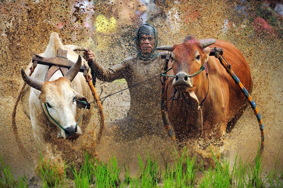 agusgunawanphotos_055