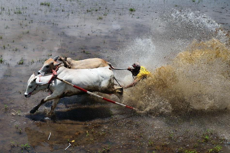 agusgunawanphotos_056
