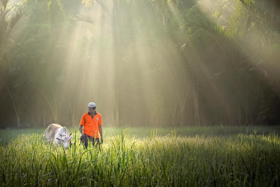 agusgunawanphotos_059