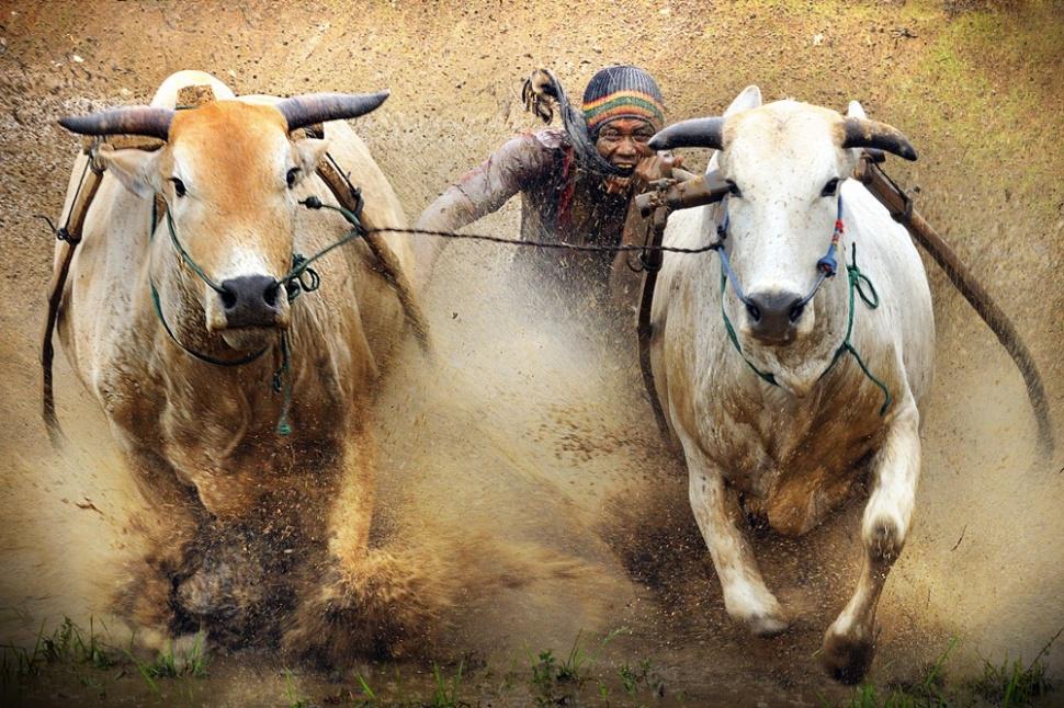 agusgunawanphotos_061