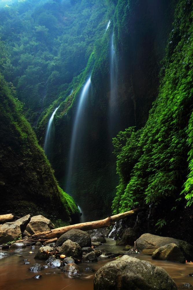 agusgunawanphotos_064