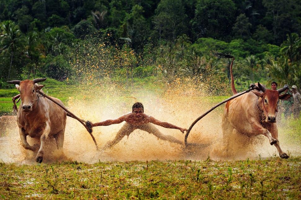 agusgunawanphotos_074