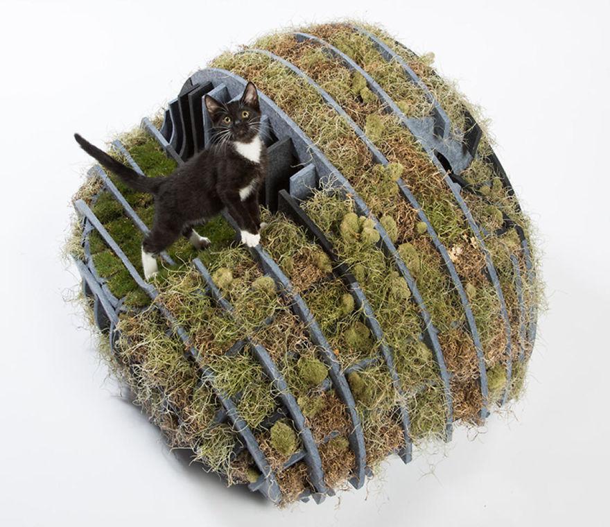 architectcathomes_005