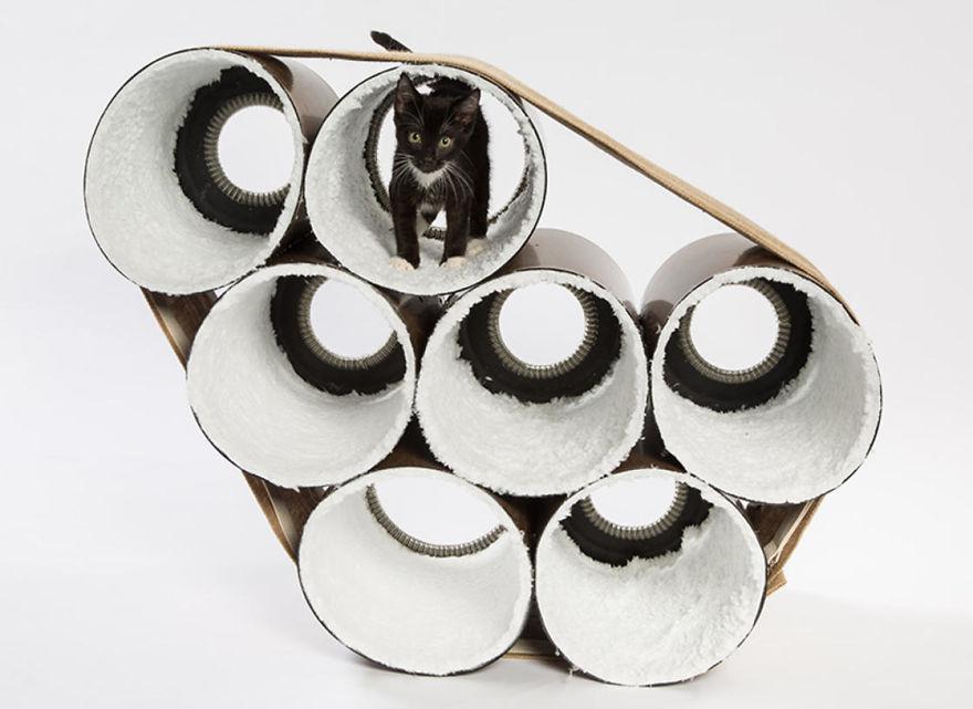 architectcathomes_006