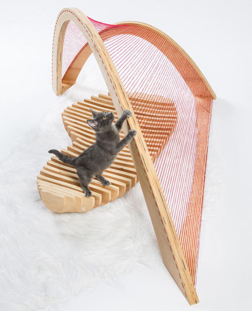 architectcathomes_010