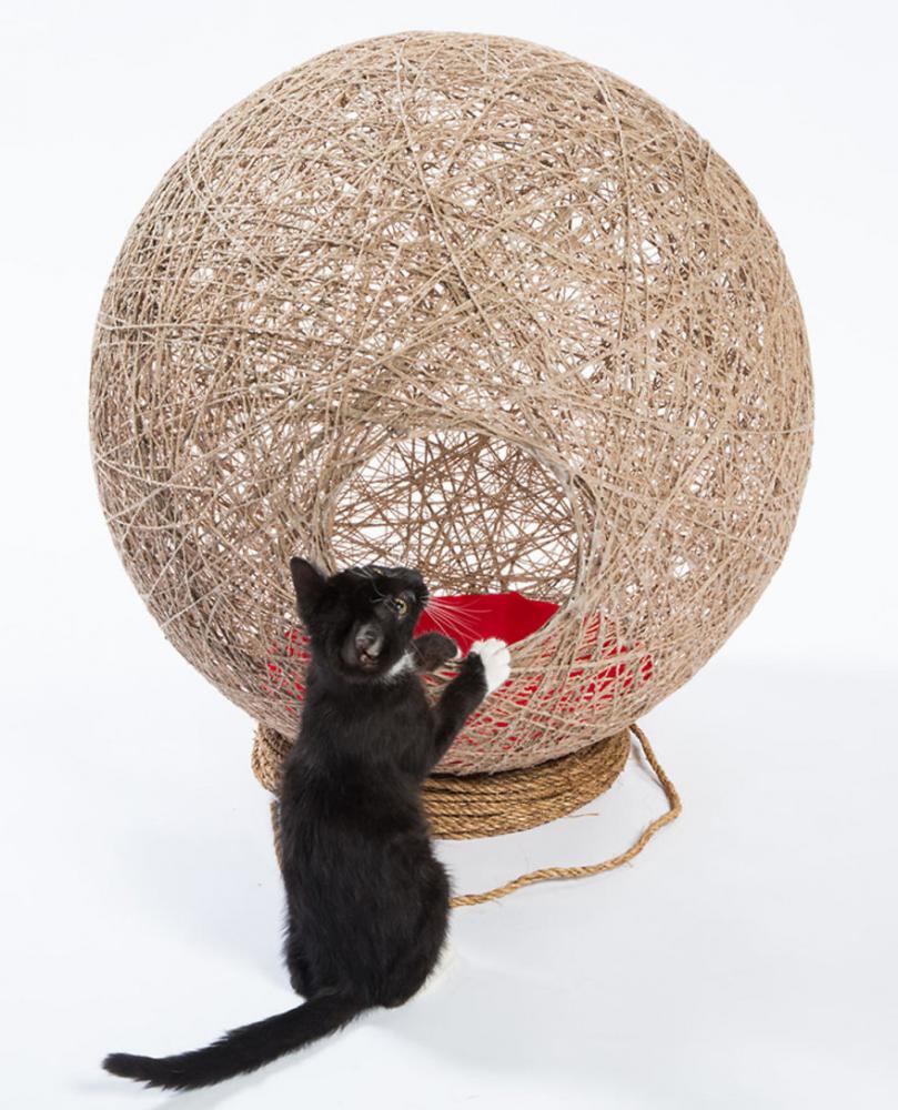 architectcathomes_013