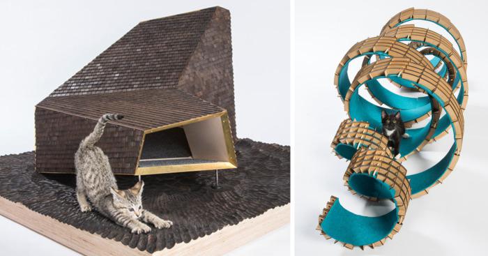 architectcathomes_014