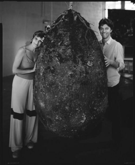 burialpods_006 burialpods_006