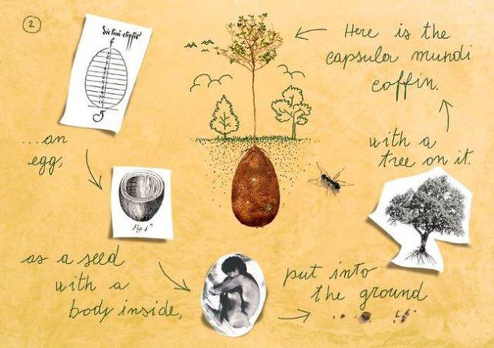 burialpods_007 burialpods_007