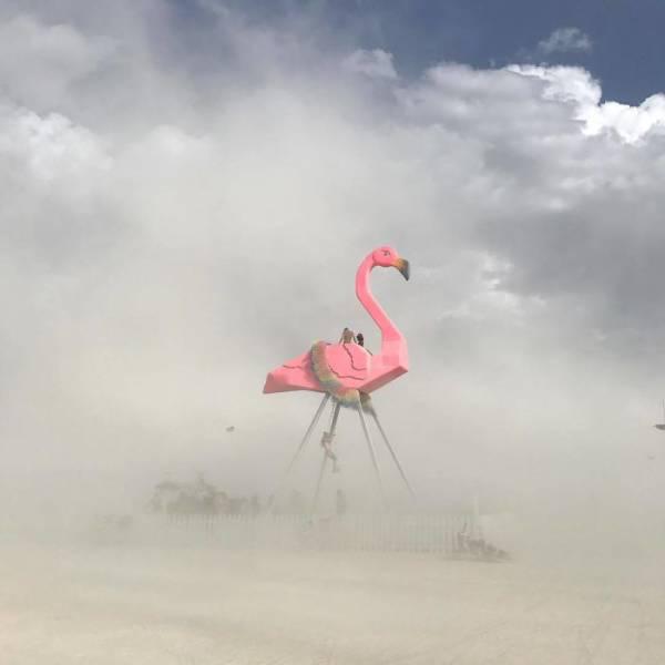burningman2017_048