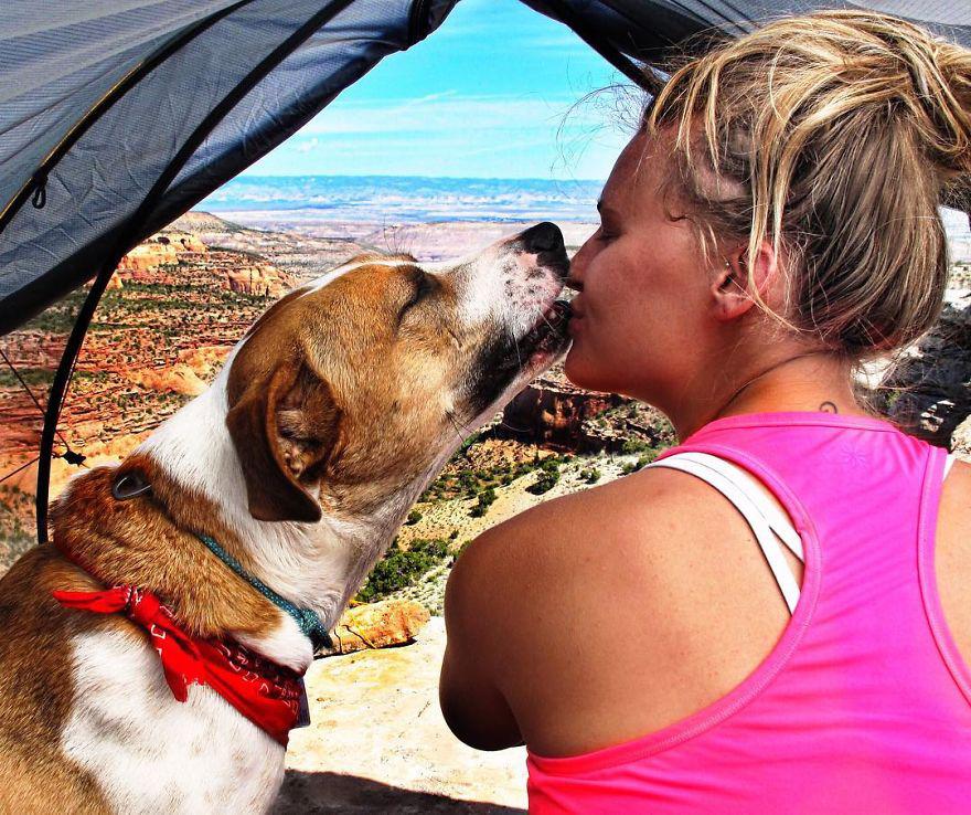 catdogtravel_020 catdogtravel_020