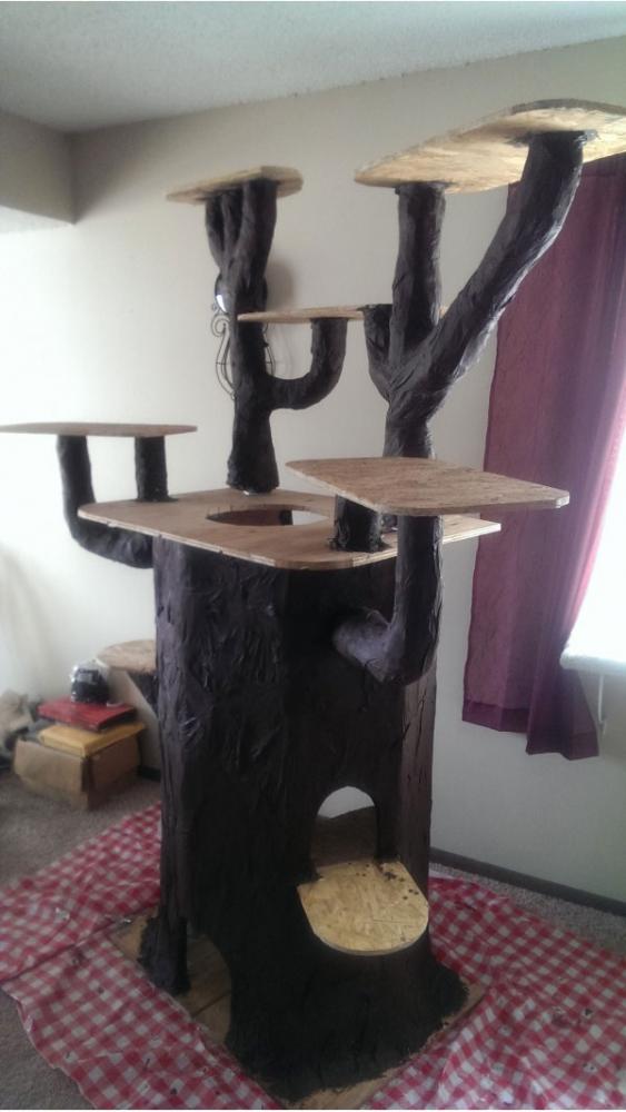 cattreehouse_015