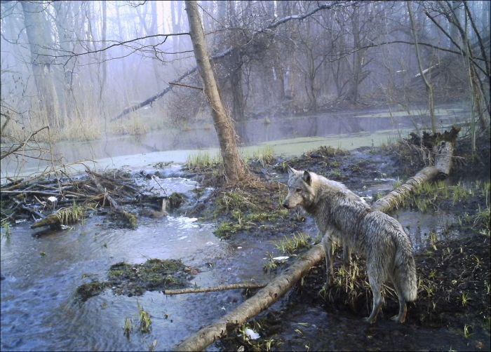 chernobyl_1_001 chernobyl_1_001