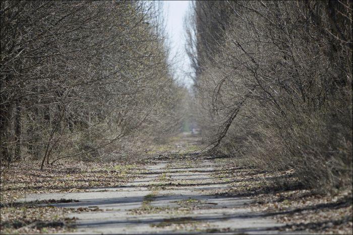 chernobyl_1_003 chernobyl_1_003