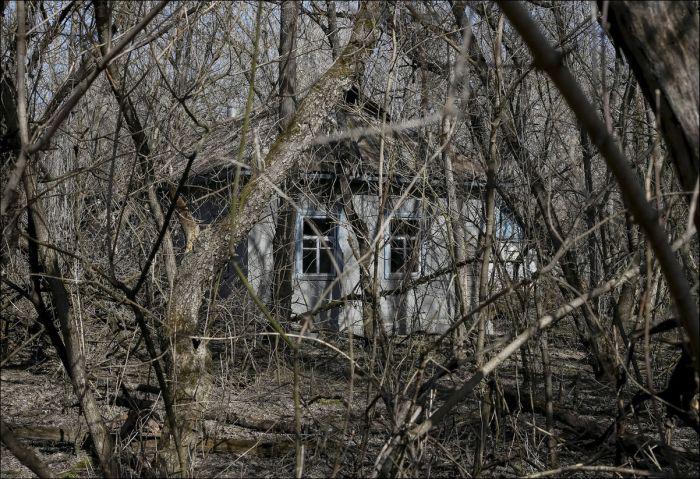 chernobyl_1_006 chernobyl_1_006