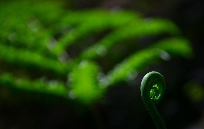 discoveredcavechina_003