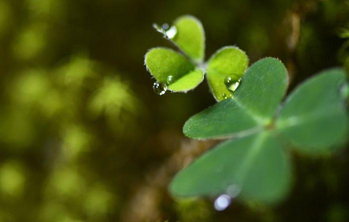 discoveredcavechina_007